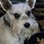 Susan Shaffer Blackwell's profile image