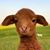 Daphne O'Hair's profile image