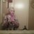 Sandra Denton's profile image