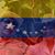 Elba Rincon's profile image