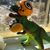 Angela Solie's profile image