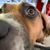 Shelley LaCanne-Spars's profile image