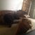 Bobbie Bradley London's profile image