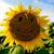 Marie Mooris's profile image