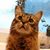 Tabitha Maine Werner's profile image