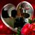 Brenda Stough Holifield's profile image