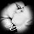 Ashley Hentzel's profile image