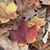 Susan Schroer's profile image
