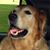 Bev Stoecklin's profile image