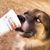 Karen Crabb's profile image