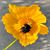 Warren Hauff's profile image