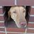 Chris Bedowitz's profile image