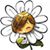 Blanca Murray-Campbell's profile image