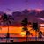 Tracy Lencioni's profile image