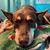 Sara Hoose's profile image