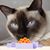 Susan Fox's profile image