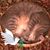 Tammy Cappelli's profile image