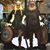 Jay V. Kast-Tuttle's profile image