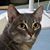 Misty Dauwalder Marshall's profile image