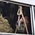 Debbie Higginbotham's profile image