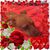 Deanea Martin Sessions's profile image
