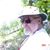 Keith Avise's profile image