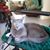 Linda Holbrook's profile image