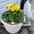 Lisa K Wyckoff Hinkle's profile image