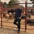 Marco Solis's profile image