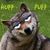Michelle Simpson Nelsen's profile image