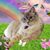 Eve Abigail Cereske's profile image