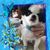 Bernadine Turner's profile image