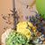 Amal Al-jubran's profile image