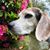 Lauren Van Duzer's profile image