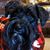 Susan Hufford Davis's profile image