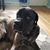Tracey Bartsch's profile image