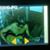 David Lee's profile image