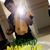 Gilberto Aguilera Angel's profile image