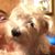 Jennifer Frederick's profile image