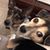Laura Koslosky's profile image