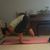 Sara Warne Woolford's profile image