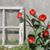 Lyn Herb-Conway's profile image
