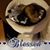 Candace Michelle Barton's profile image