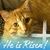 Barbara Downing Seeger's profile image