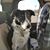 Sunny Jewell's profile image