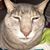 Jacob Esquivel's profile image