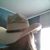 Michelle Bledsoe's profile image
