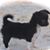 Linda Walls's profile image