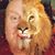 Tom Smith's profile image