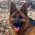 Nummer Eins's profile image